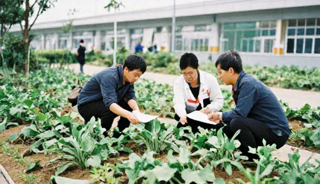 种植技术指导如何提升销售模式？